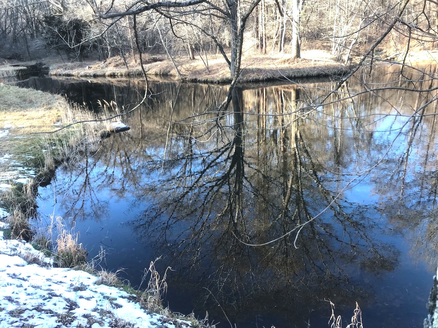 透明度が高く透き通る里池。水面に映る冬の風景