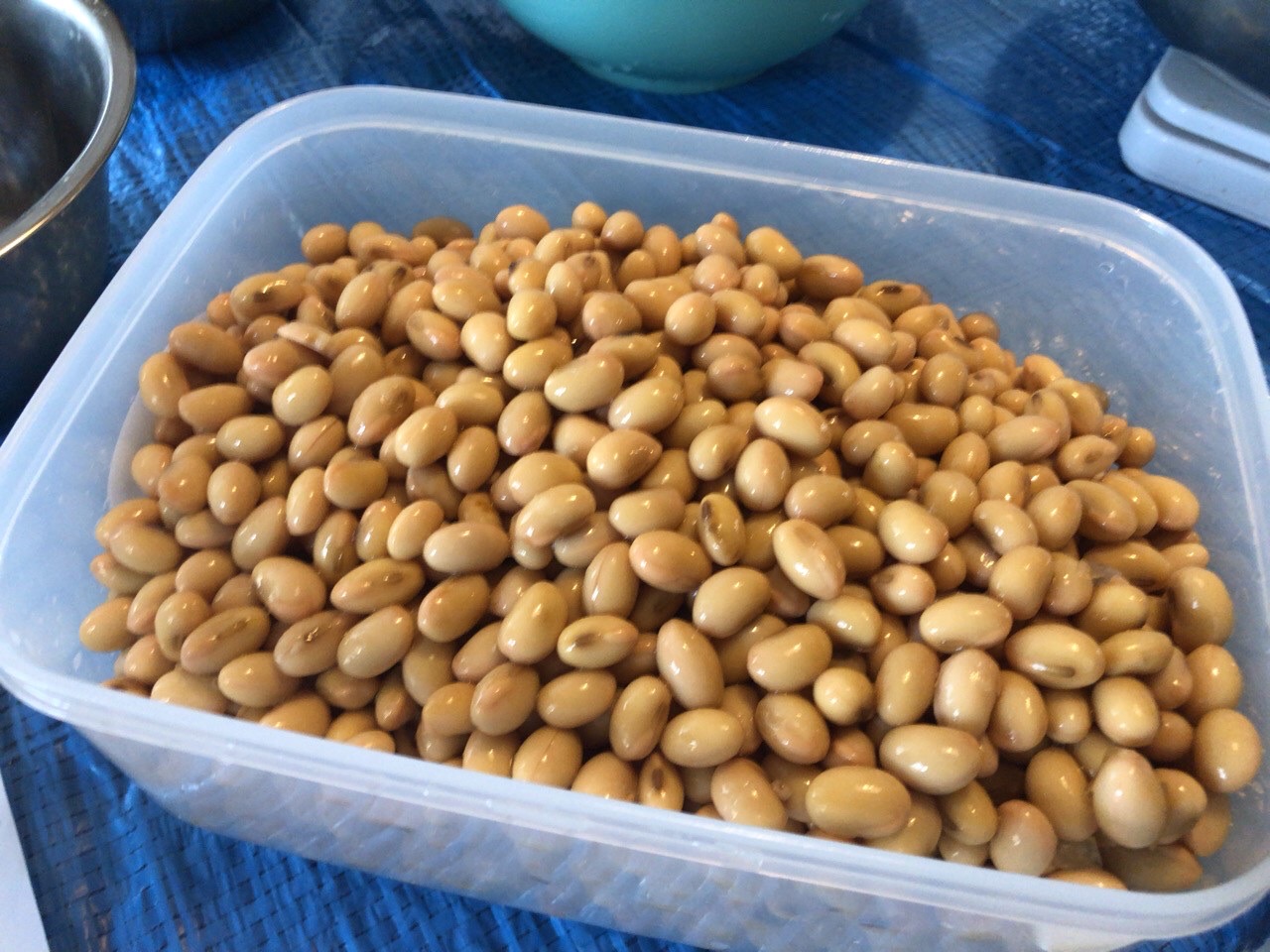 大豆は茹でた時にもおいしいものがおすすめ。せっかくなら無農薬のものを。