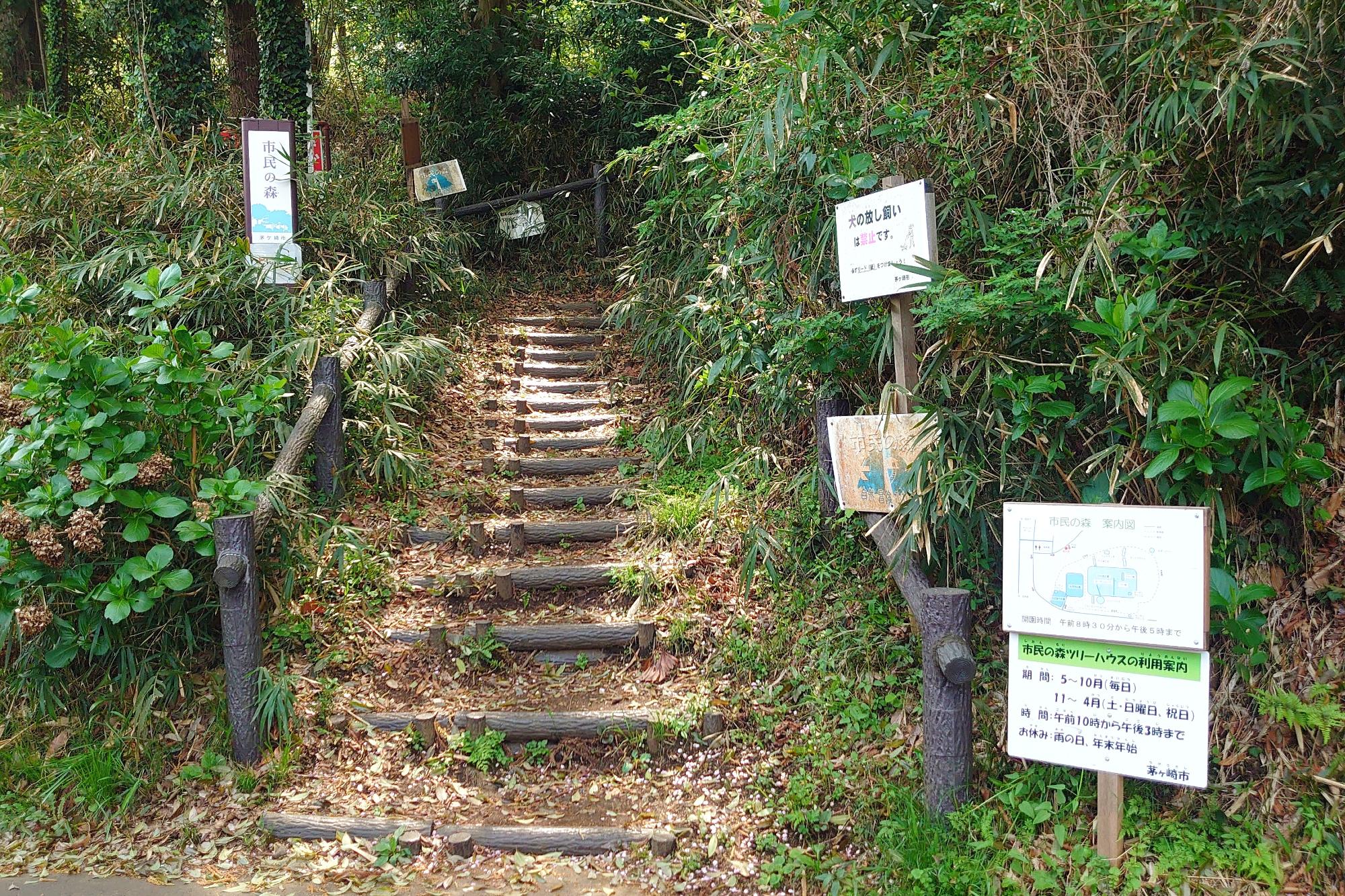 市民の森入り口の階段