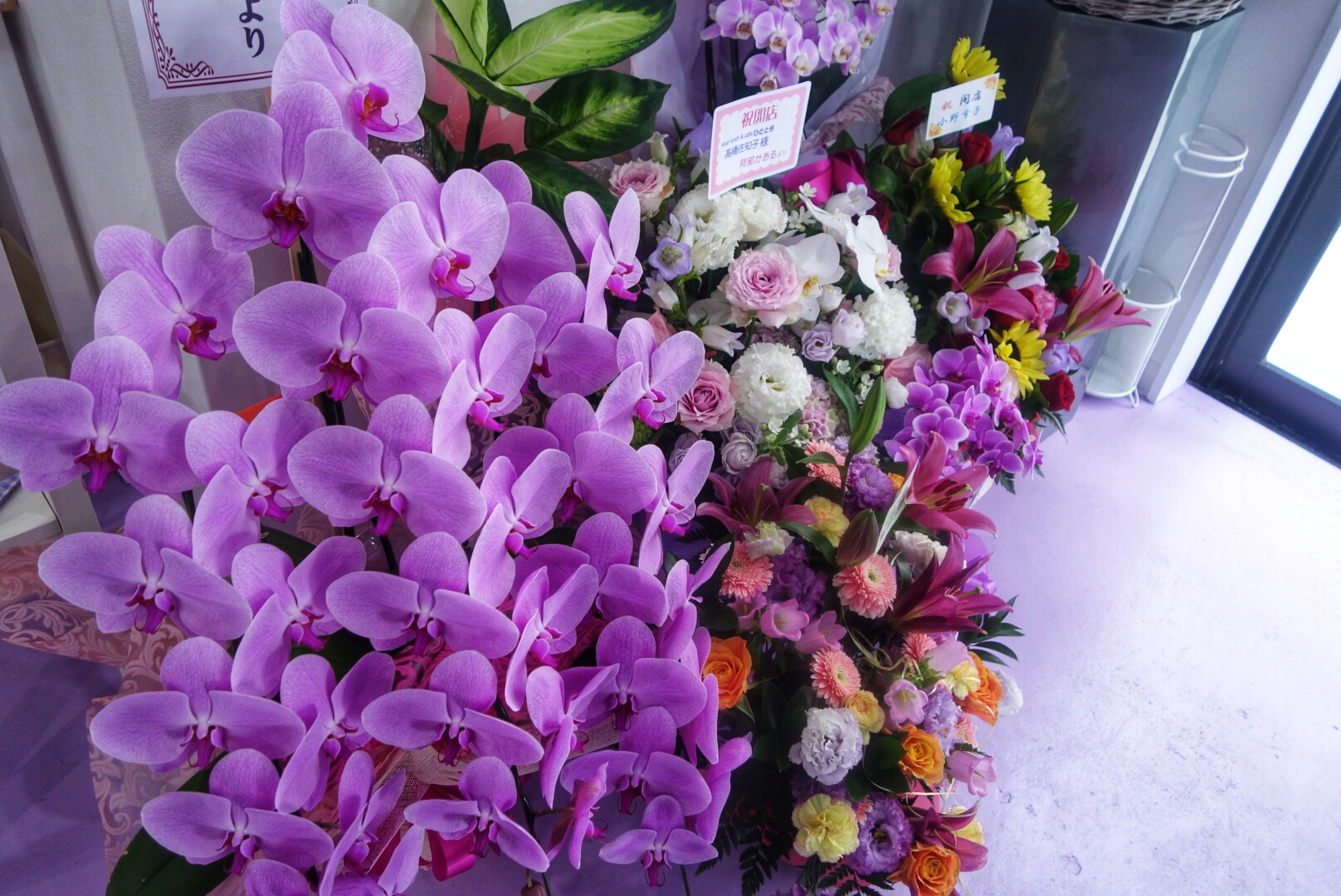 6月23日にオープンしたばかりのお店は、開店祝いの生花でいっぱい