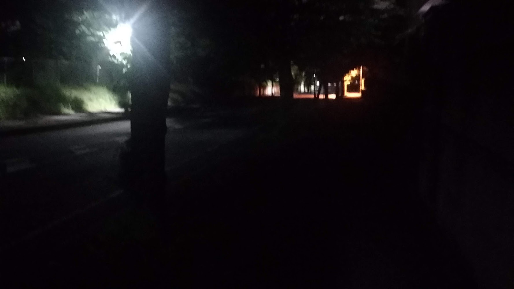 そこそこ大きい道路なのに、歩道は真っ暗……。大きな木があり、少ない街頭の光を遮っています