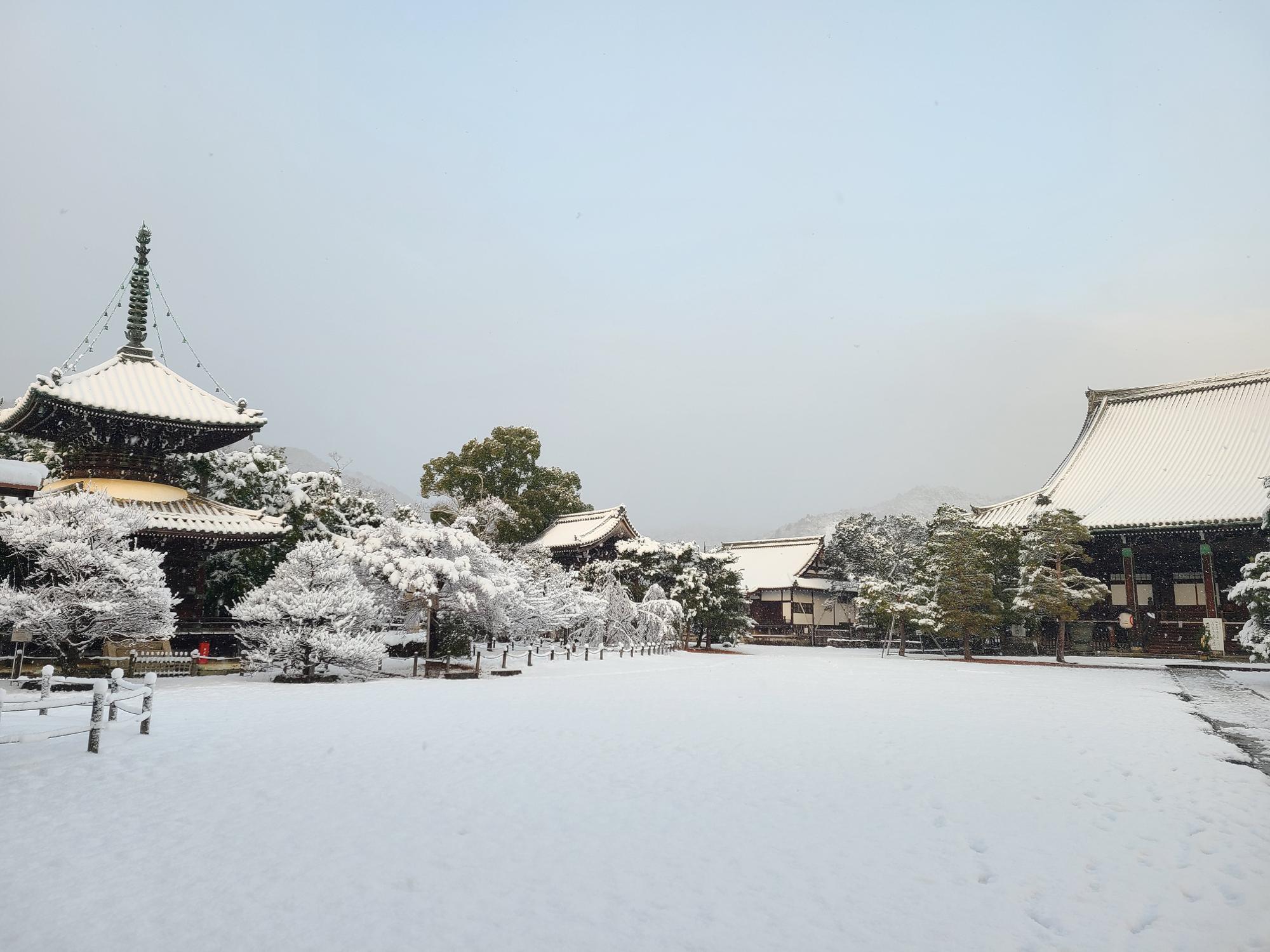 雪に埋もれる薬師寺