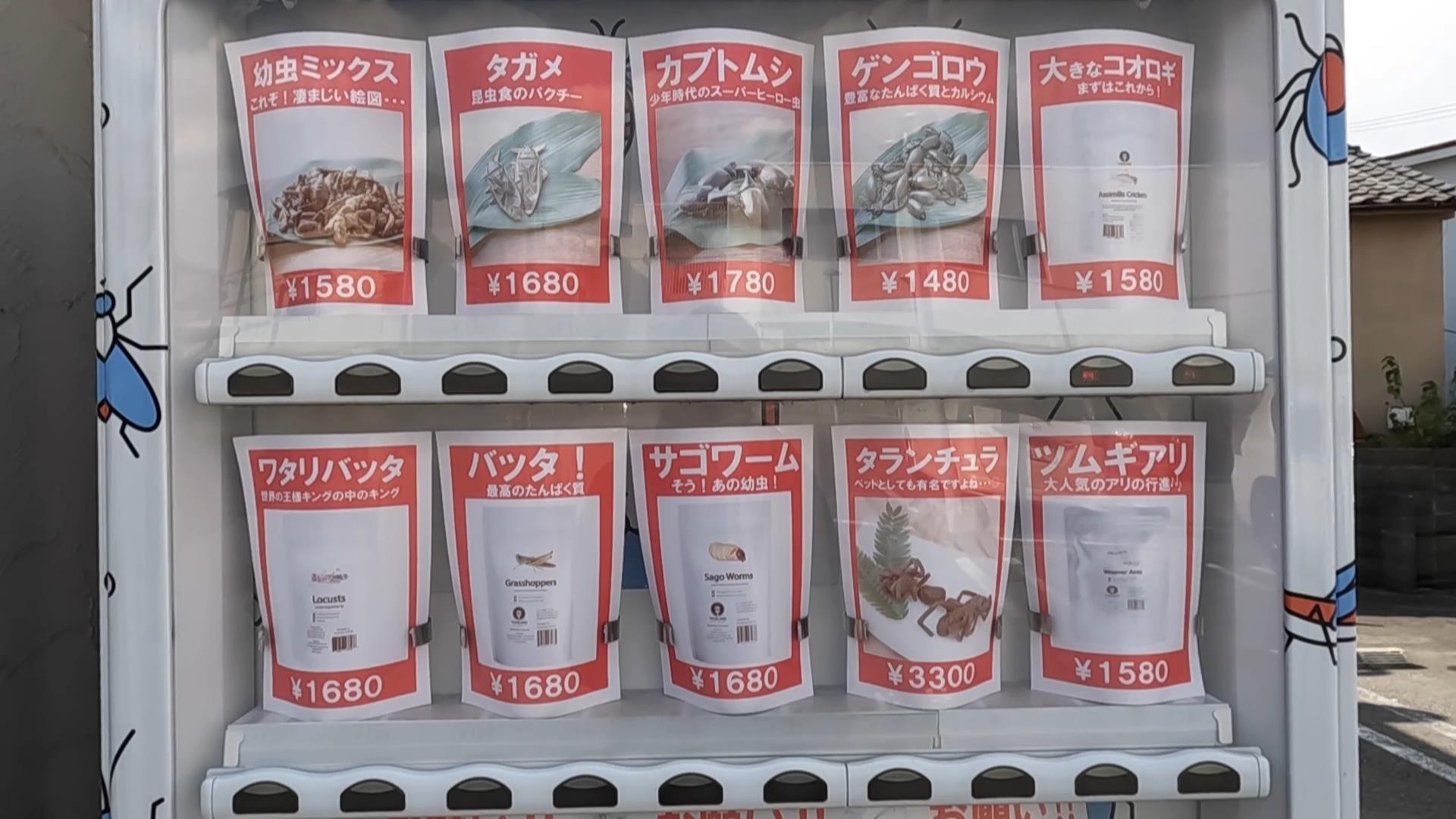 昆虫食自販機の商品ラインナップ
