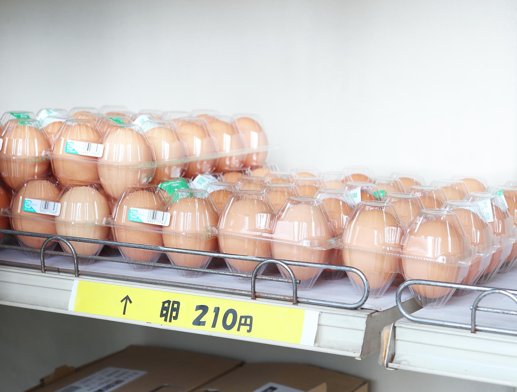 【藤沢市】100円で玉子が買えます。ご近所さんだけが知る、安くて美味しい鶏卵と鶏肉を売るお店 - ころんころ | Yahoo! JAPAN