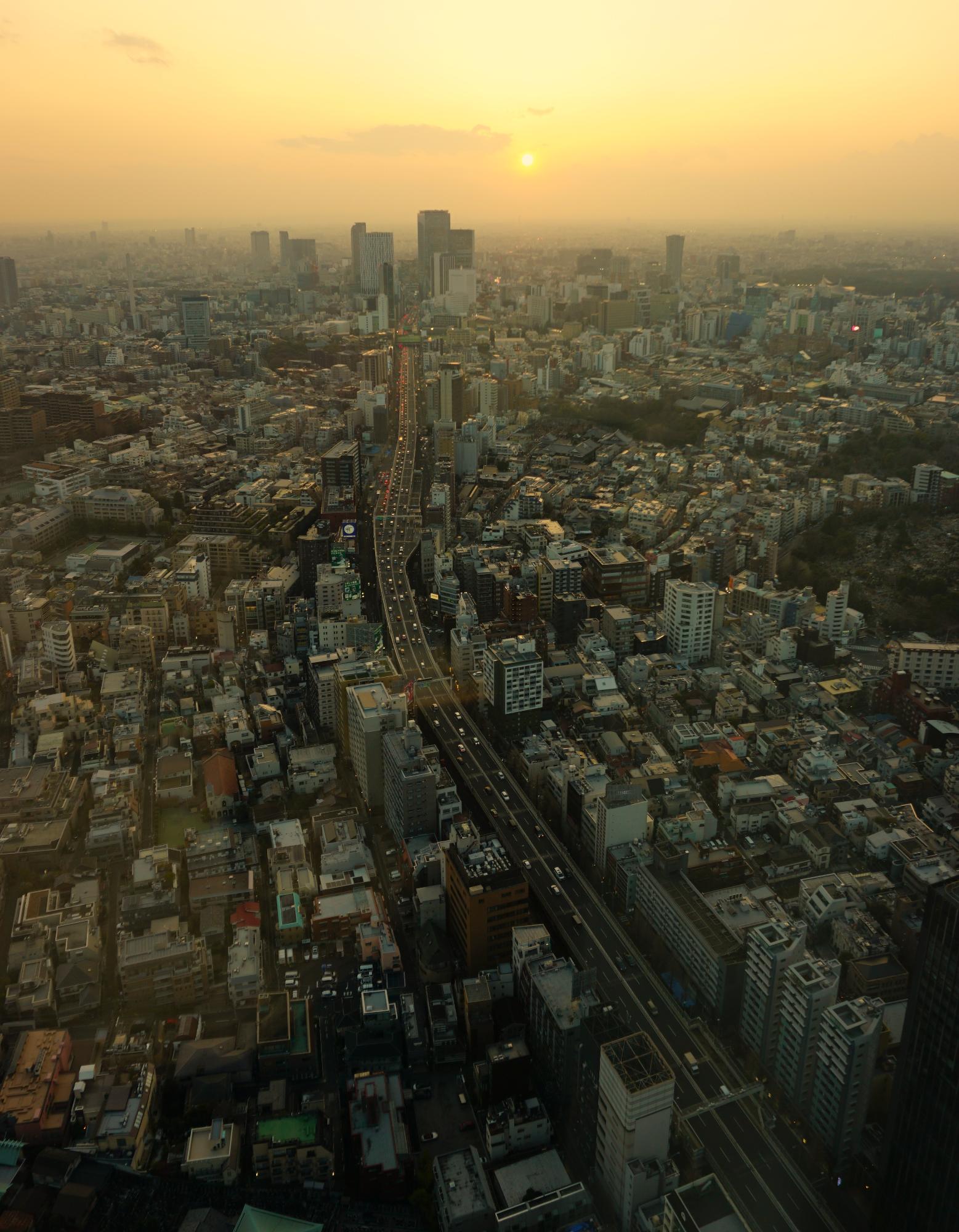 都心の背骨のような首都高の先に、渋谷の高層ビル群が。