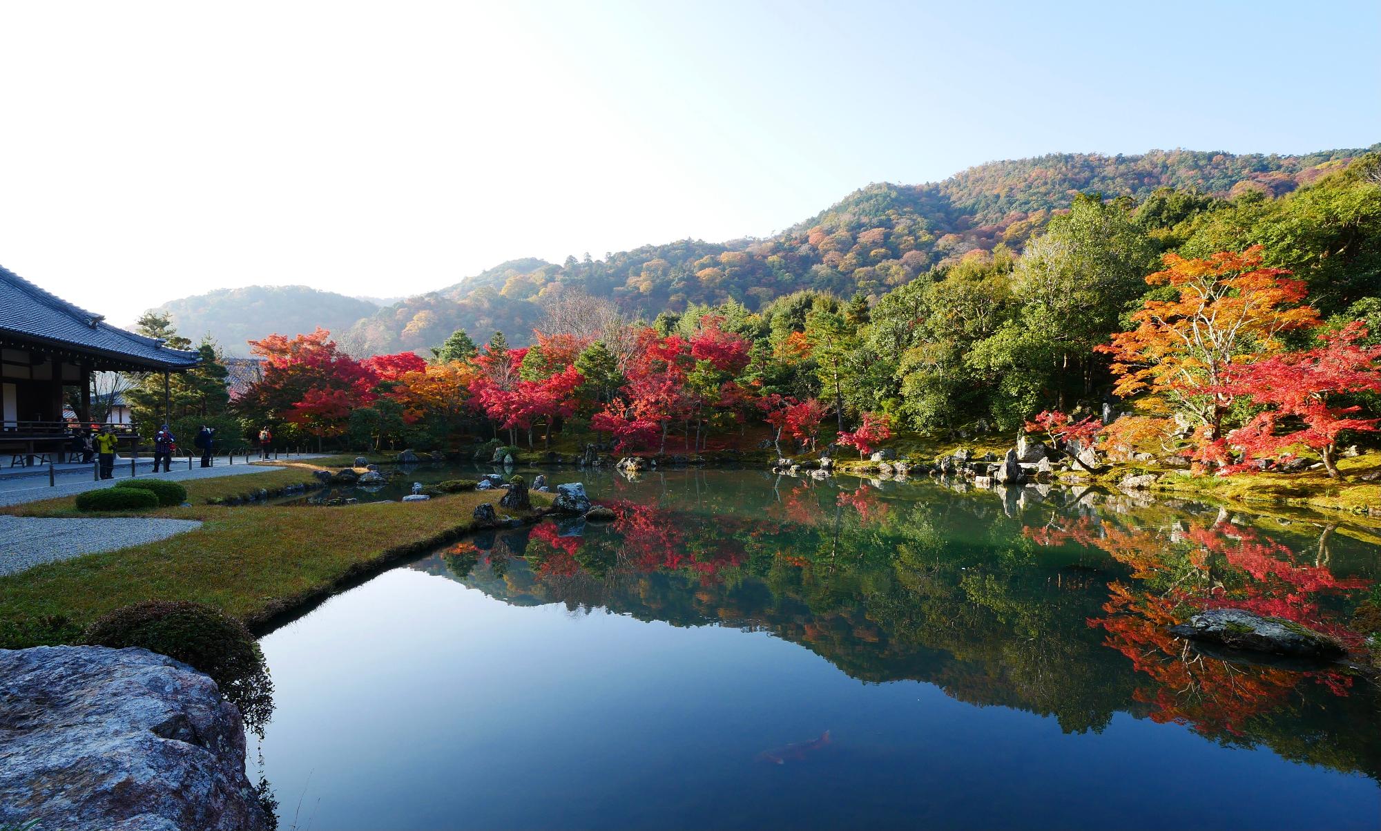 京都嵐山 天龍寺で早朝参拝を実施中 紅葉が見頃の庭園でリフレクション風景を楽しむ Mami Yahoo Japan クリエイターズプログラム
