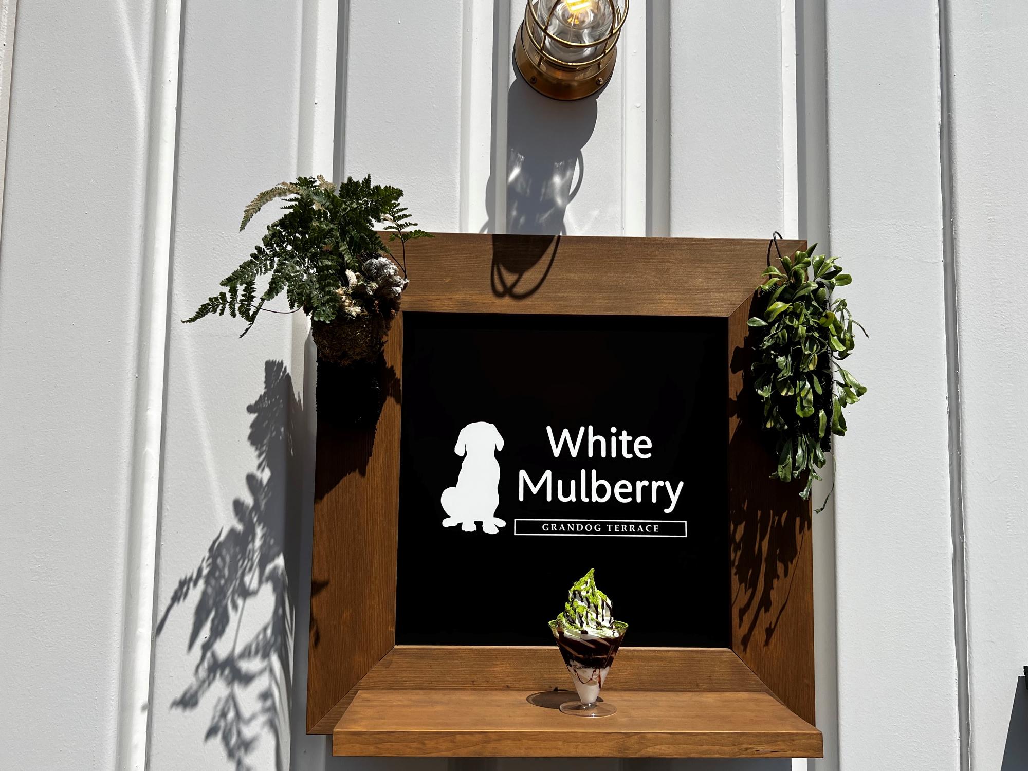 「White Mulberry（ホワイトマルベリー）」