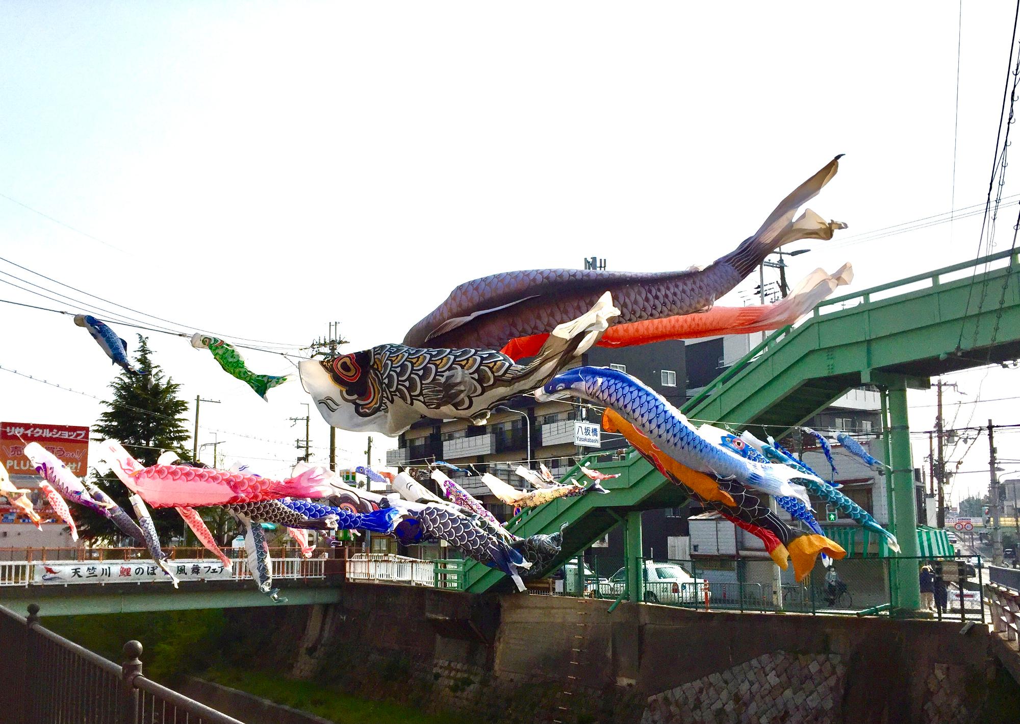 2019年度の天竺川鯉のぼり風舞フェア