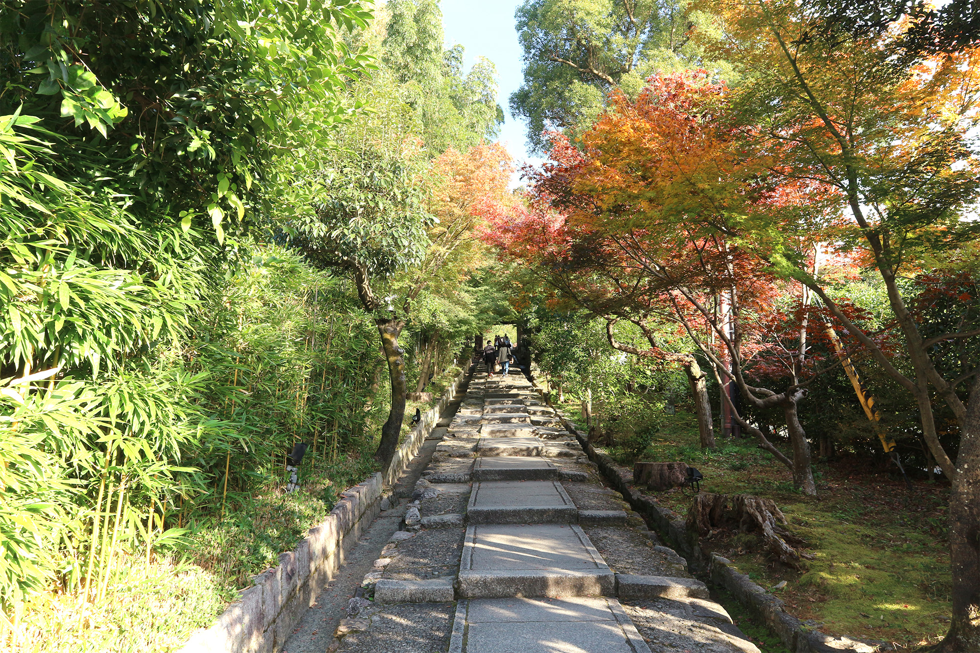ゆるやかな上り坂の台所坂。紅葉と竹が爽やかな印象。