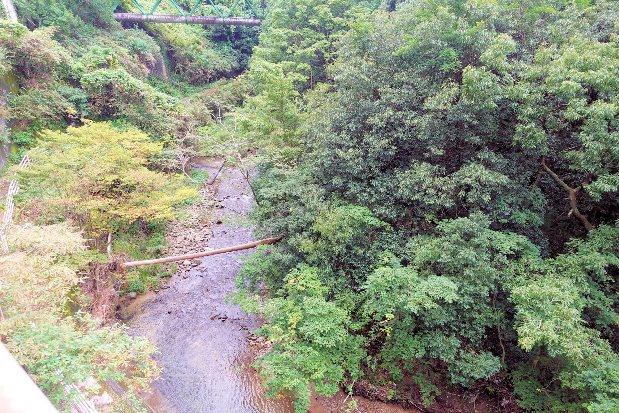 参考画像：日野地区の石川、寺ヶ池への取水口はさらに上流にある