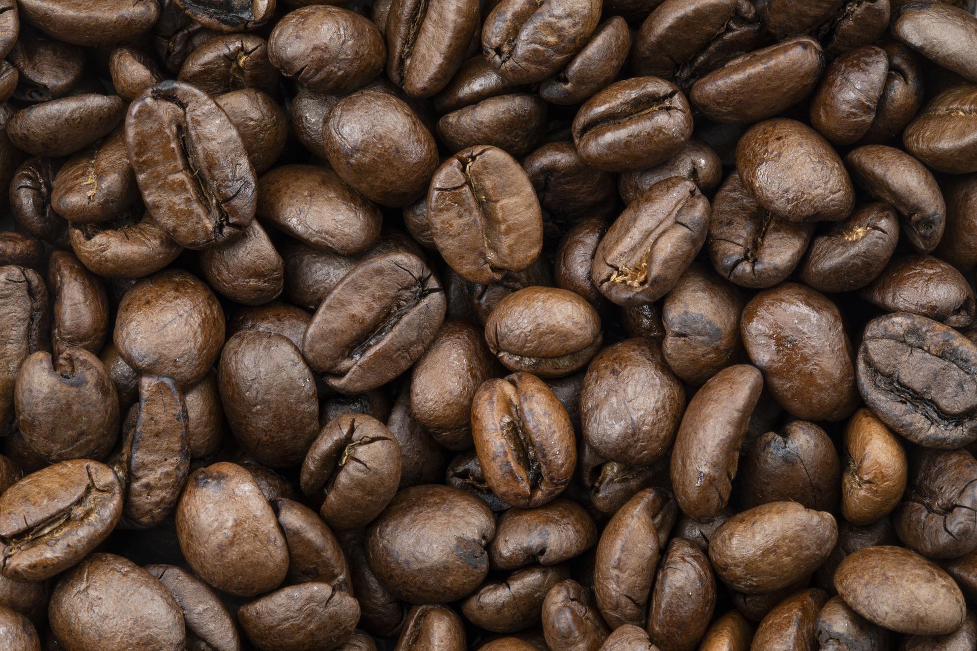 コーヒー豆と言っても様々な種類があります