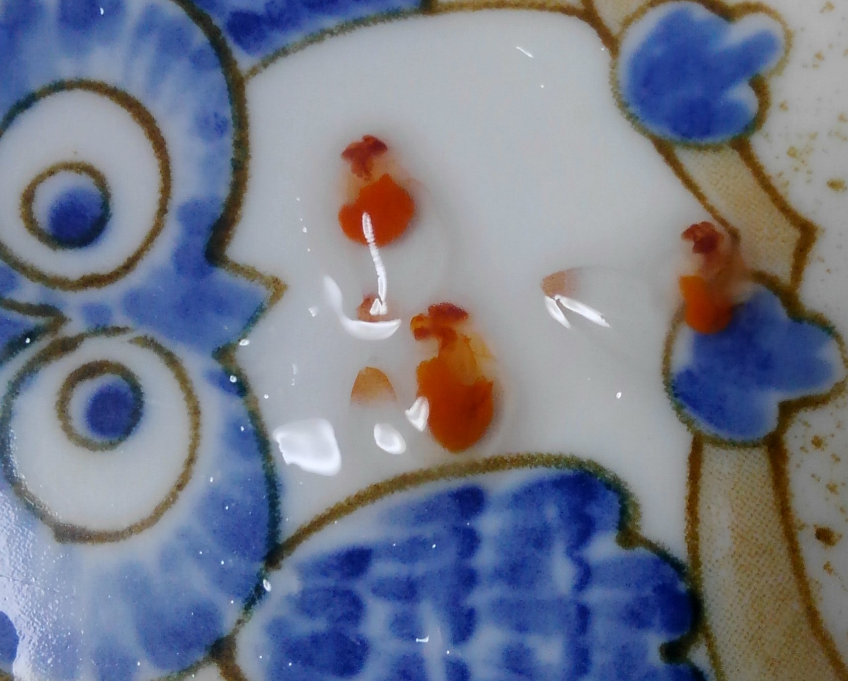 流氷の天使」クリオネを食べてみたらすっげぇ後悔した話 - 茸本朗 | Yahoo! JAPAN クリエイターズプログラム