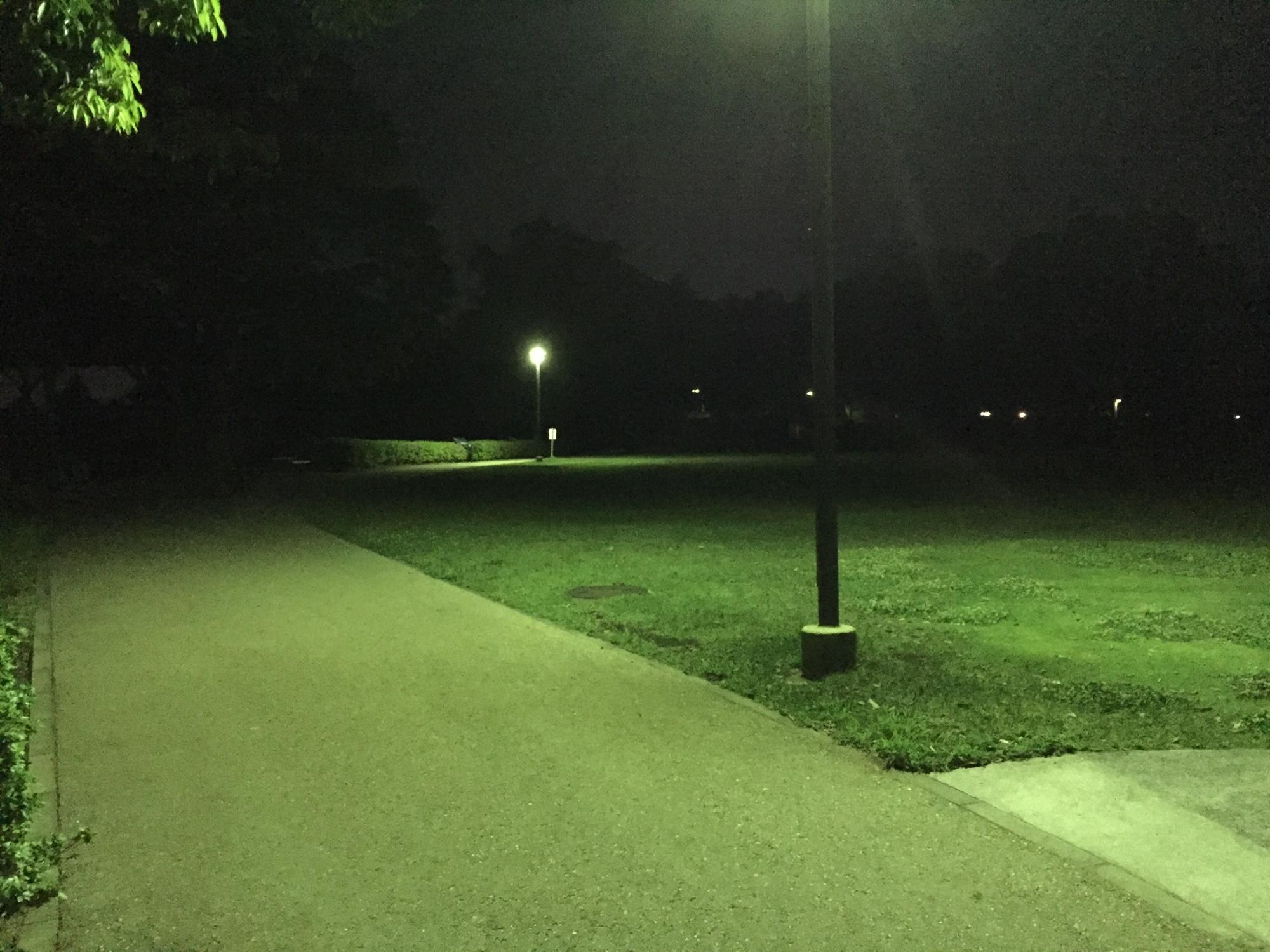 公園には街灯が点けられています。