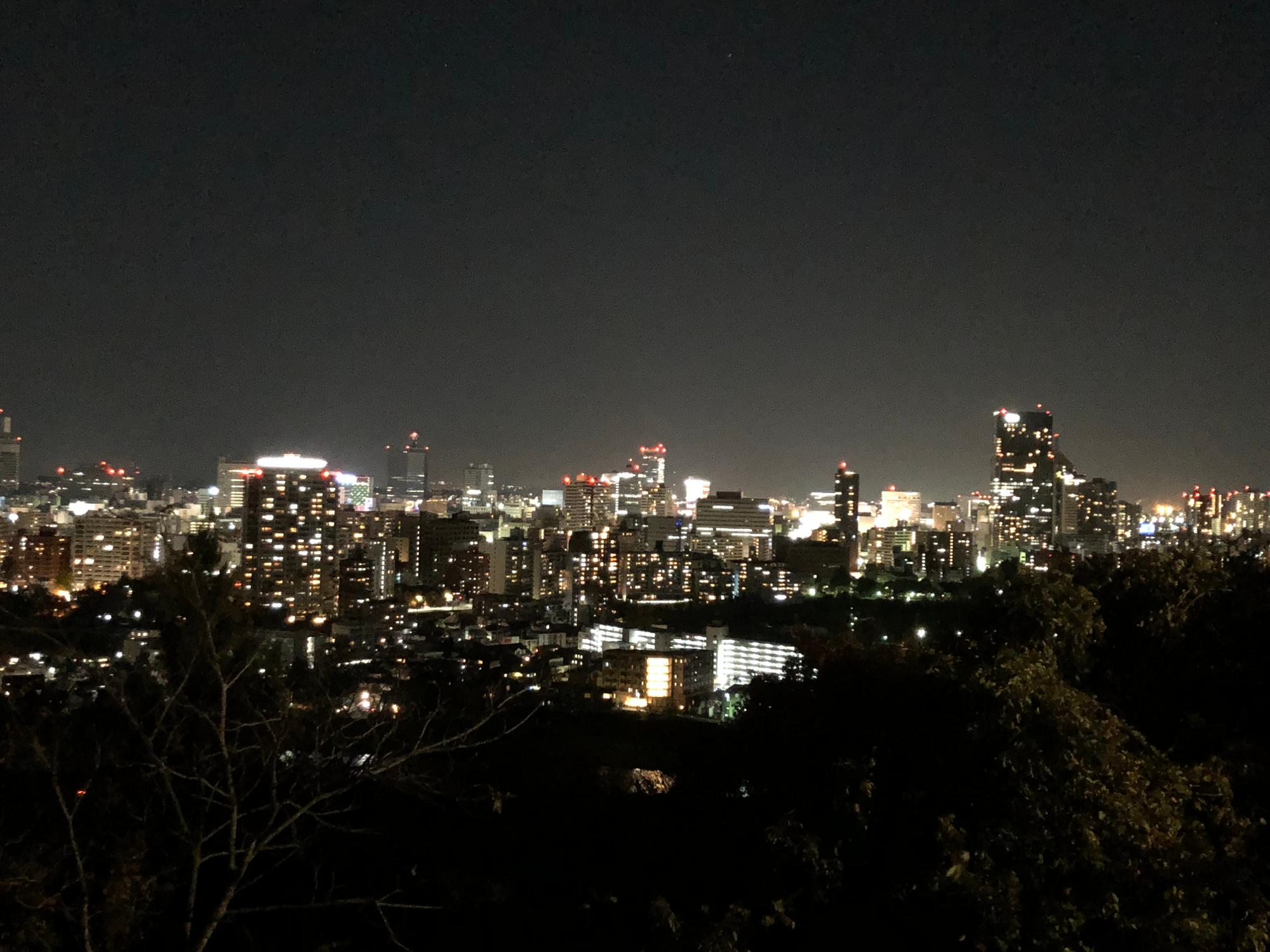 青葉城址からの仙台市内夜景
