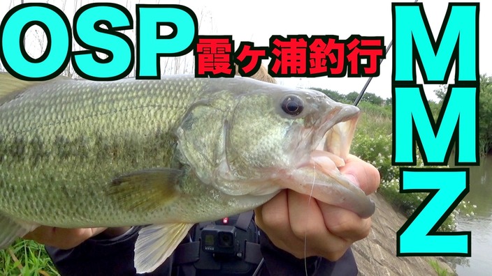 最新バス釣りルアーOSP「MMZ」を使って霞ヶ浦バス釣り釣行で思いもよら 