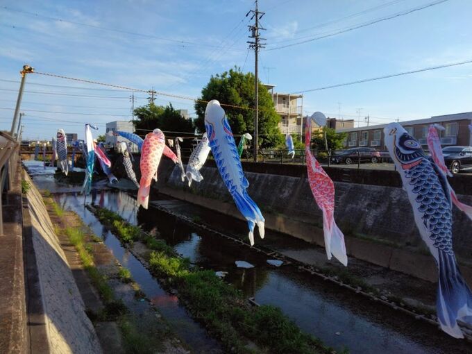 CREATORS【磐田市】見付にある今之浦川で、2023年も5月5日（金）まで「こいのぼり」が元気に舞っています♪